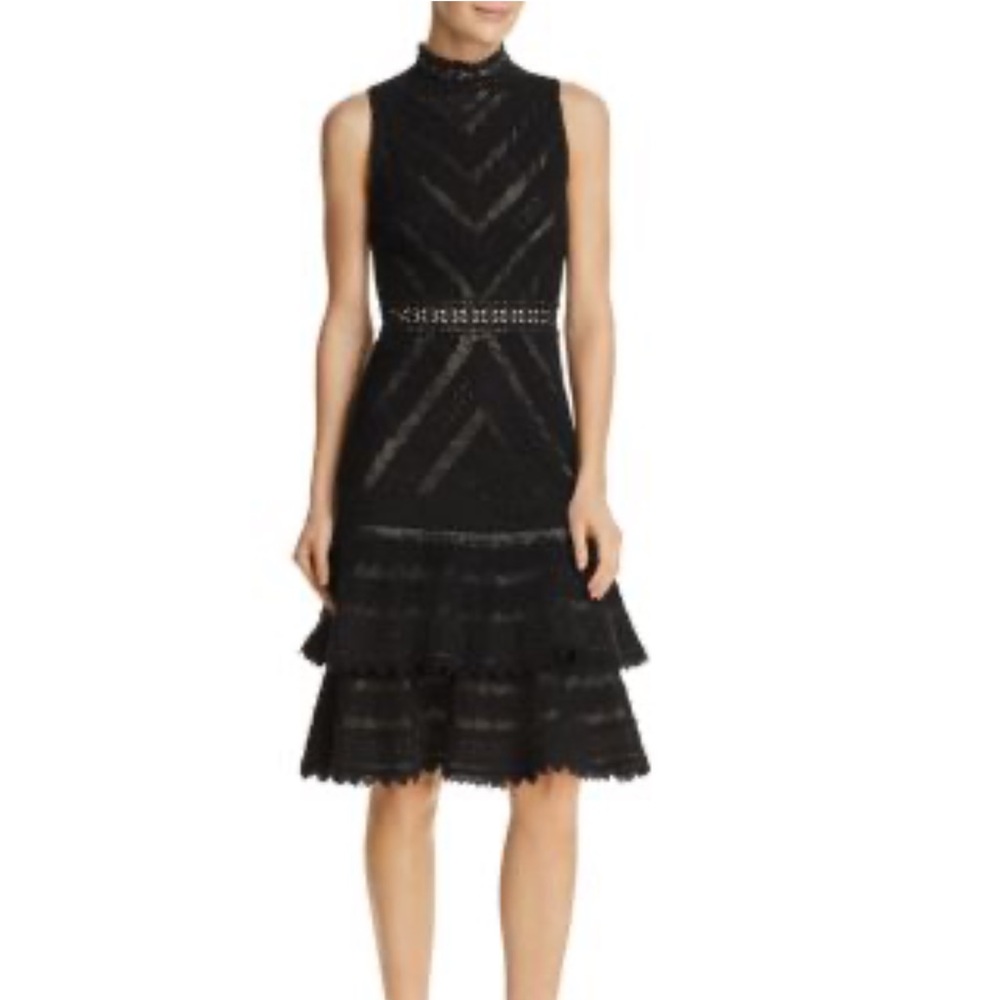 Alice + Olivia Black Lace A-Line Dress